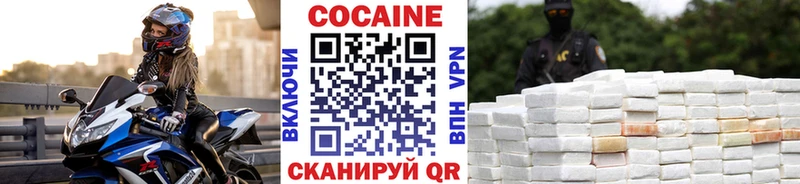 Купить закладки  Сураж  COCAIN VHQ 