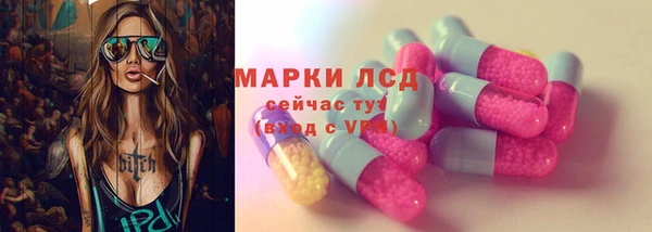 сатива Липки