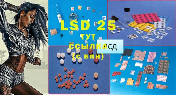 прущие грибы Лиски