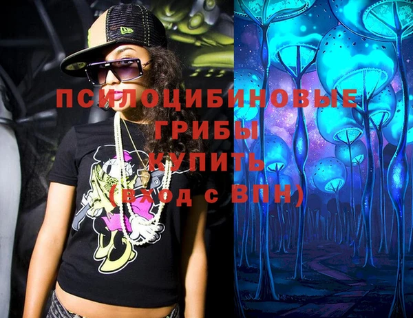 прущие грибы Лиски