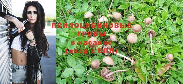 сатива Липки