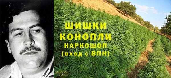 сатива Липки