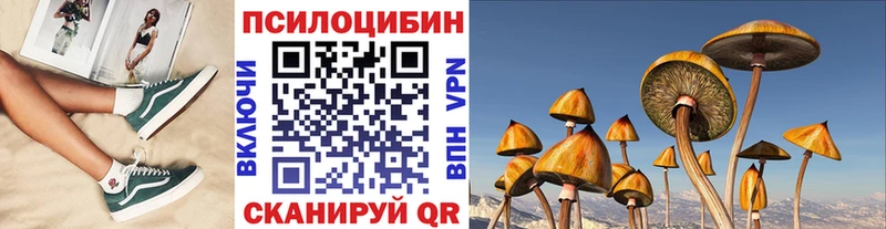 Псилоцибиновые грибы Psilocybe  Купить  Сураж 
